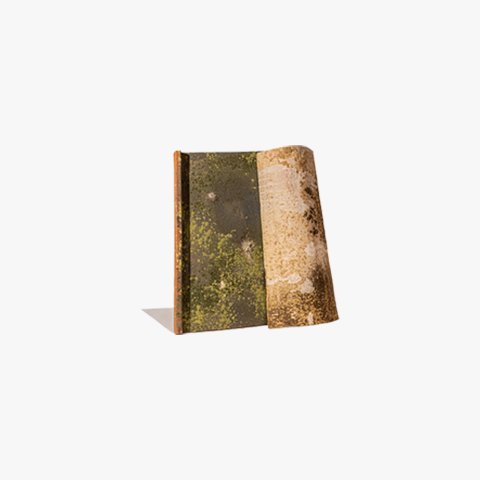 Aged Roofing